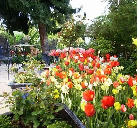 Pensjonat Ebnet Garni Lindau (Bodensee)